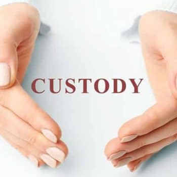 Child Custody and support IL